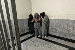 دستگیری جیب‌برهای حرفه ای پایتخت