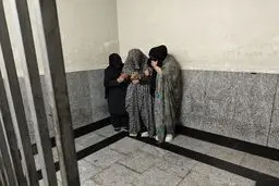 دستگیری جیب‌برهای حرفه ای پایتخت