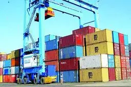 اشتباه واردات‌چی‌ها در کالاهای اساسی