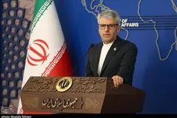 بقائی: پس از تحولات دیشب، باید روند مذاکرات بررسی شود