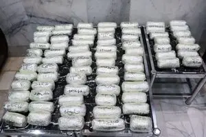 کشف ۳۰ کیلو و ۵۵۶ گرم مواد مخدر توسط مأموران گمرک+فیلم