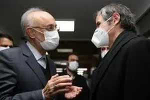 فیلم: گروسی به ایران آمده تا به نحوی مصوبه مجلس اجرا نشود
