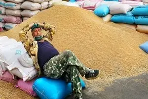 گندم، آب و گوشت به سوی بحران غذایی