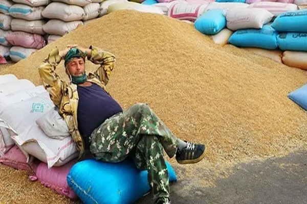 گندم، آب و گوشت به سوی بحران غذایی