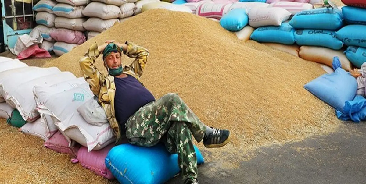 گندم، آب و گوشت به سوی بحران غذایی