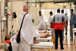 8 زائر ایرانی حج تمتع فوت شدند