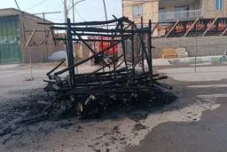 نخل عزاداری چند صد ساله در آتش سوخت