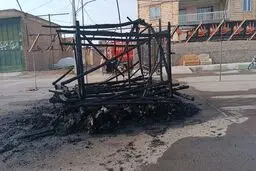 نخل عزاداری چند صد ساله در آتش سوخت
