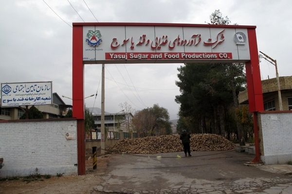 راه‌اندازی کارخانه قند یاسوج پس از چند‌ دهه تعطیلی 