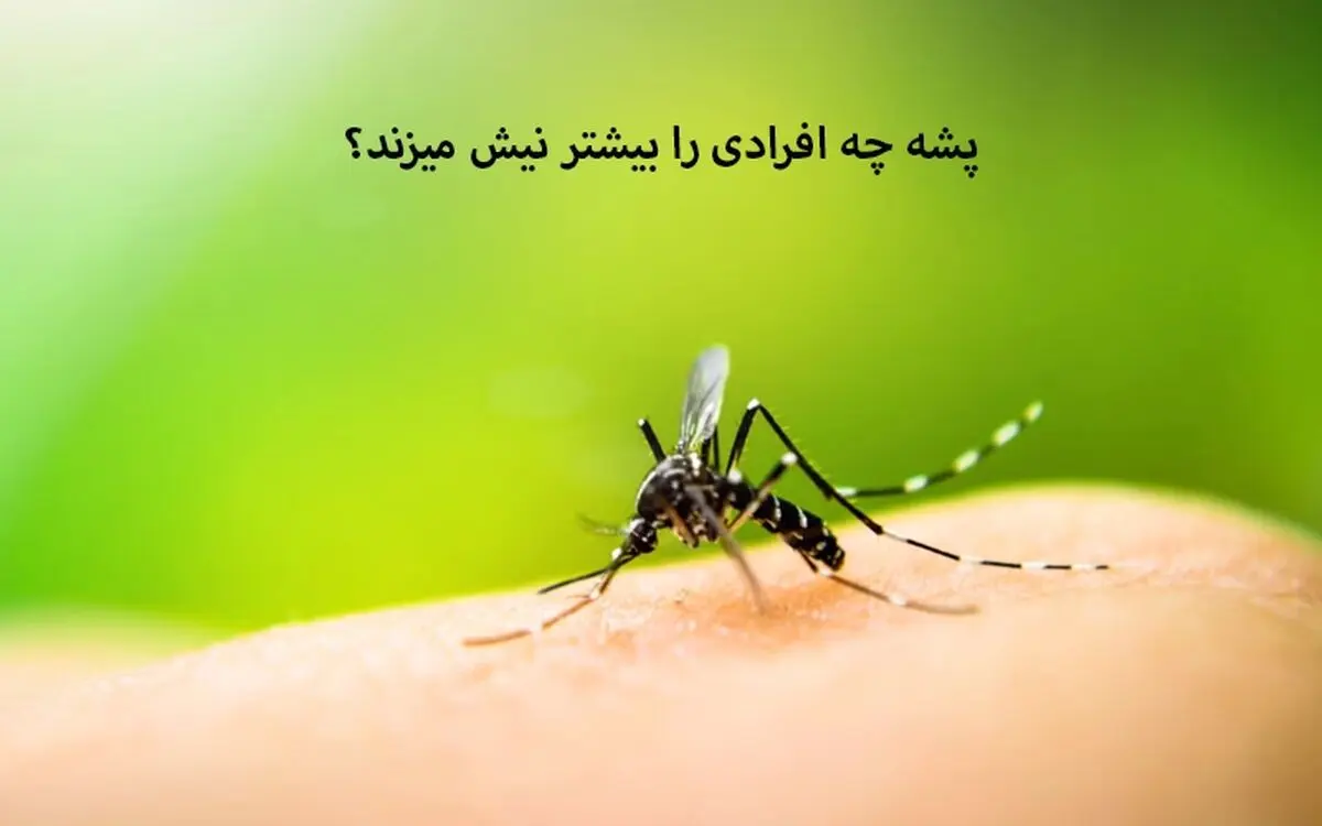 پشه چه افرادی را بیشتر نیش میزند؟