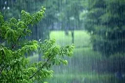 بارش باران و رگبار در شمال‌غرب و سواحل دریای خزر