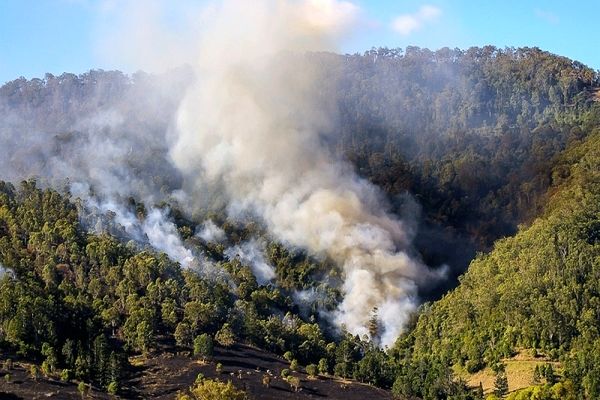 آتش‌سوزی جنگل‌های مریوان برای سومین روز متوالی