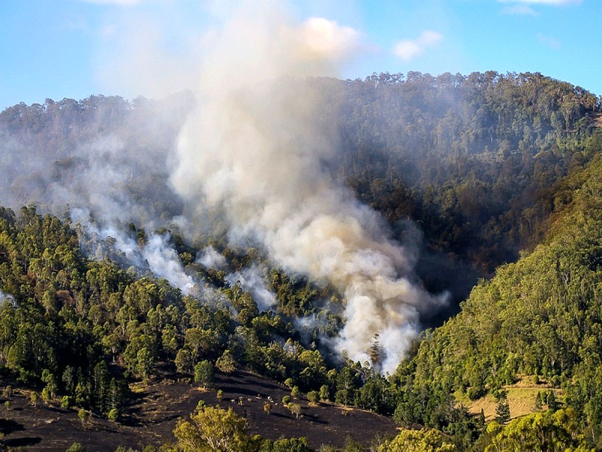 آتش‌سوزی جنگل‌های مریوان برای سومین روز متوالی