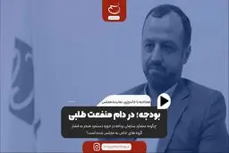 بودجه در دام منفعت‌طلبی