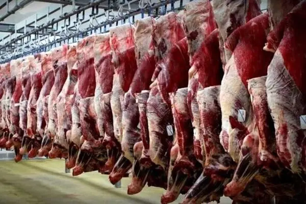 پول نبود، ۳۲۰ تن گوشت ۷ سال در گمرک ماند!
