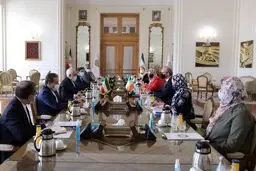 وزیر امور خارجه ایرلند با «ظریف» دیدار کرد 