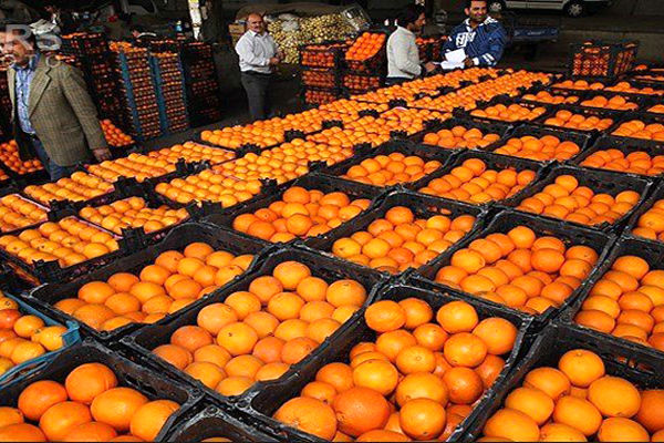 فیلم: فرق قیمت عجیب پرتقال در داخل باغ تا داخل شهر!