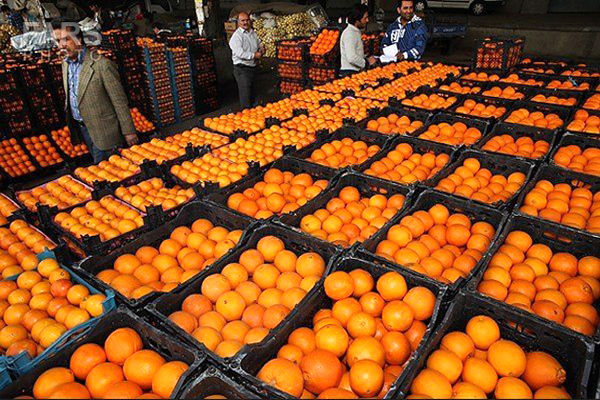 فیلم: فرق قیمت عجیب پرتقال در داخل باغ تا داخل شهر!