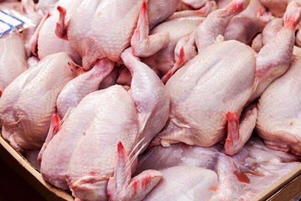 روزانه فقط ۲۰۰ تن مرغ در تهران عرضه می‌شود