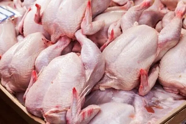 واردات تخم‌مرغ نطفه‌دار و مرغ منجمد برای استمرار آرامش