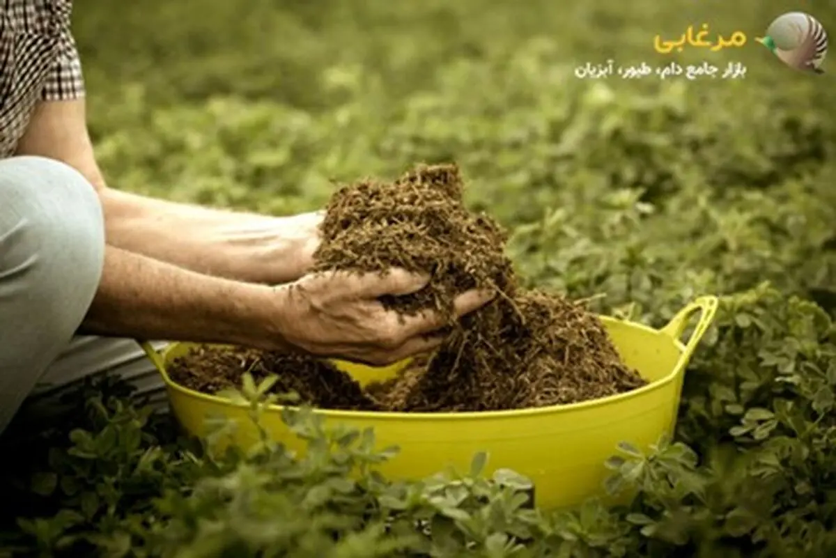 چگونه کنسانتره مناسب اسبمان را انتخاب کنیم؟