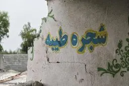  تبدیل مدرسه شجره طیبه میناب به موزه مقاومت
