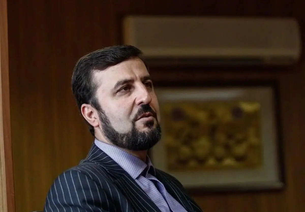  غریب‌آبادی: هیچ دسترسی فراپادمانی به آژانس اعطا نخواهد شد 