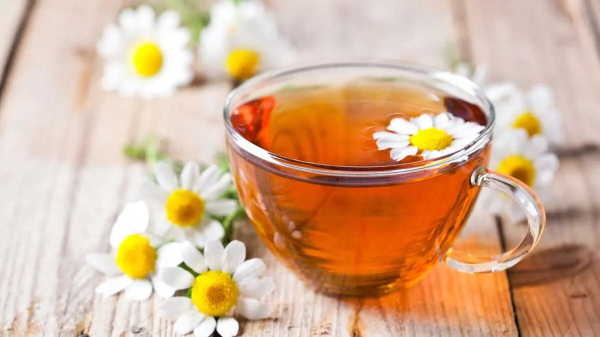 خواص بابونه در ترک اعتیاد [از شایعه تا واقعیت]