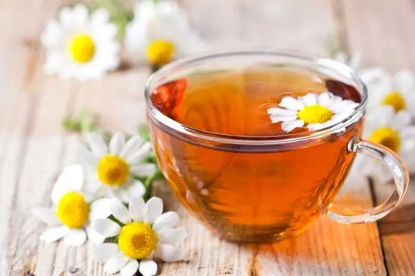 خواص بابونه در ترک اعتیاد [از شایعه تا واقعیت]