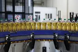  اما و اگرهای به آرامش رسیدن بازار روغن 