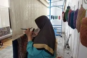 تامین اجتماعی ناتوان در ایجاد برابری