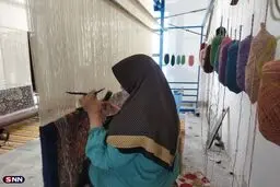 تامین اجتماعی ناتوان در ایجاد برابری