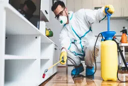 چگونه از شر سوسک‌ها و حشرات مزاحم در خانه خلاص شویم؟