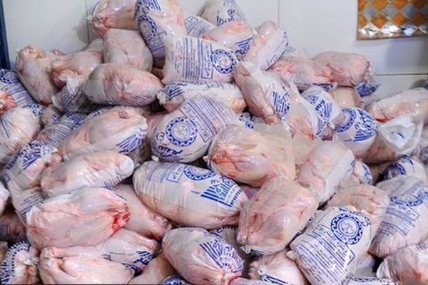 توافق برای ترانزیت و ترخیص مرغ‌های وارداتی