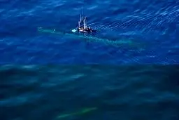 شلیک اژدر از زیردریایی بومی فاتح در رزمایش اقتدار دریایی ۹۹ نداجا