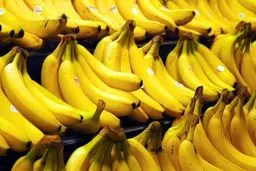  موز از شنبه ارزان می‌شود 