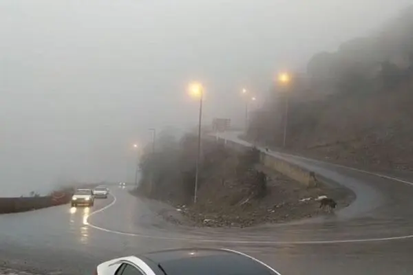 بارش باران و مه‌گرفتگی در جاده‌های ۸ استان؛ ترافیک سنگین در چالوس و هراز