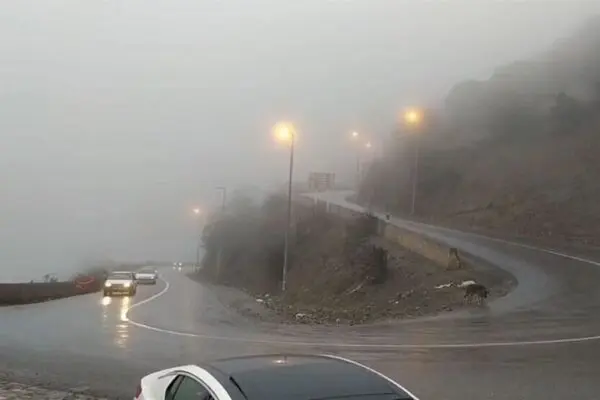 بارش باران و مه‌گرفتگی در جاده‌های ۸ استان؛ ترافیک سنگین در چالوس و هراز