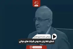 آیا شرکت‌های دولتی زیان‌ده هستند؟