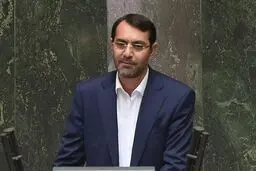 
زارع: پیشنهاد حذف غربالگری زنان باردار را به حساب مجلس نگذارید
