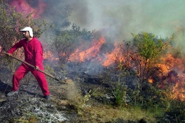 آتش‌سوزی در بخش وسیعی از میانکاله