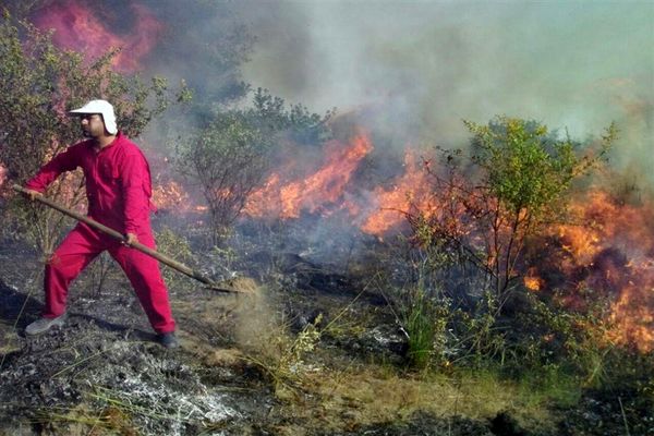 آتش‌سوزی در بخش وسیعی از میانکاله