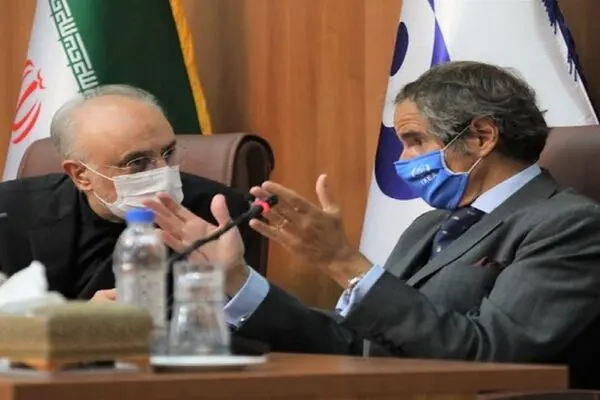 گروسی با صالحی دیدار کرد
