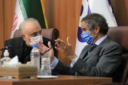 گروسی با صالحی دیدار کرد
