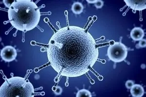 آنفلوآنزا در ۸ استان بالاتر از حد هشدار | ۱۱۵ فوتی از ابتدای موج امسال