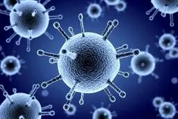 آنفلوآنزا در ۸ استان بالاتر از حد هشدار | ۱۱۵ فوتی از ابتدای موج امسال