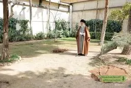 قطع درختان به جز در موارد فنی و ضروری یک ضرر و خطر است