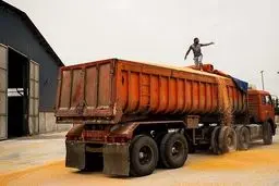 واردات کالای اساسی منحصر به دولت شد