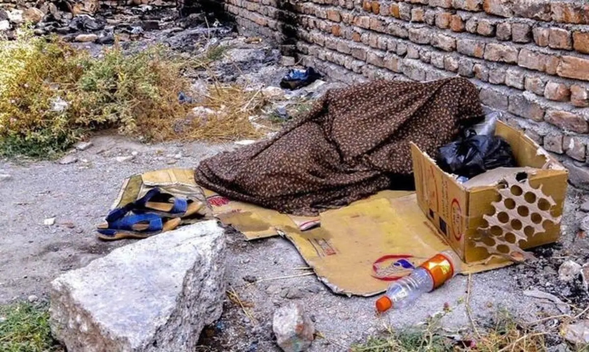 اگر پارک مناسبی برای زندگی پیدا کردید به ما اطلاع بدهید