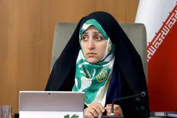 اصلاح مهریه باید متوقف شود
